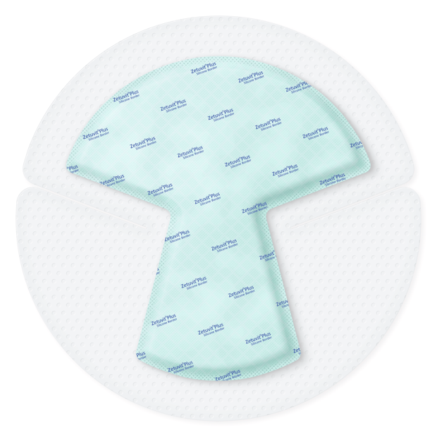 Zetuvit® Plus Silicone Border stérile, emballage individuel 25 x 25 (18,6x17,2) cm Heel