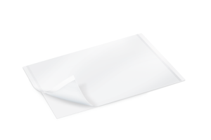 Atrauman® Silicone 20 x 30 cm P5