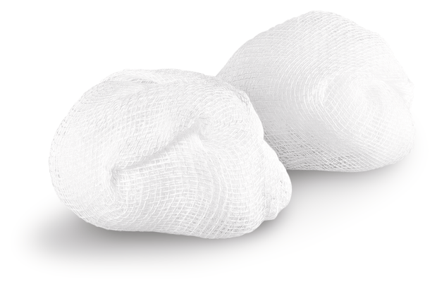 Pagasling® Tampon roulé non-stérile non stérile P2x500 prune, T. 3 P2x500