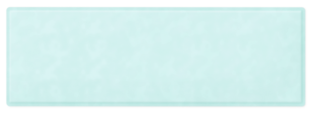 Zetuvit® Plus 20 x 60 cm